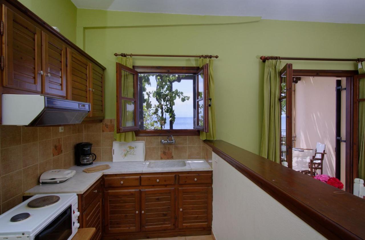 Iro Family Apartments Pelion 莱福卡斯特龙 外观 照片